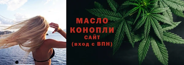 молекула духа Галич
