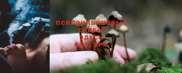 метадон Алексеевка