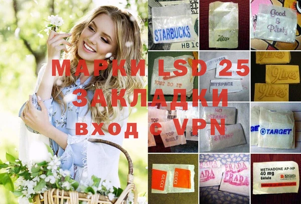 хмурый Алзамай