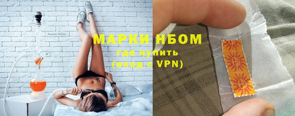 хмурый Алзамай