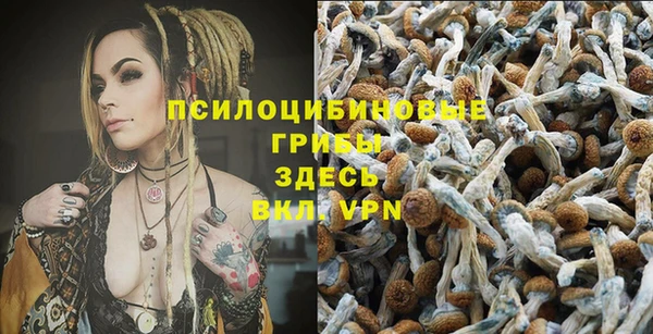 сатива Алексин